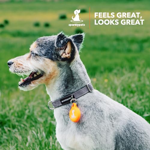 Collier chien très petite taille anti-perte avec support AirTag et doublure douce