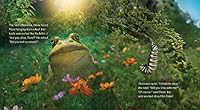 The Happy Garden Best Friends 0578241110 Book Cover