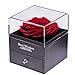 Produktbild Rosen Box, Infinity Rose Schmuck Geschenkbox, echte Rose rot, Rose Geschenk Kit zum Valentinstag, Muttertag, Jubiläum, Hochzeit, Geburtstag romantische Geschenke für Sieromantische Geschenke für Sie