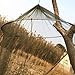 Ozeau Portable Camping Bed Netting Outdoor Dome Netting Fly Netting for Camping Bedding Patio