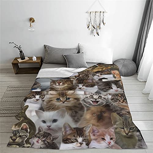 Wowusuo Cat Blanket Animal Throw Bed Blankets Cozy Lightweight Soft Bedding For Sofa Bed Office Travel 60X50 Inches, 60X50 #TOP2
