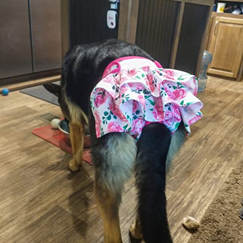 Image of wegreeco Washable Dog Diapers (3 Pack), Highly Absorbent Dog Diapers for Female Dogs in Heat, Period, Incontinence, or Excitable Urination (Ocean of Flowers, X-Large)