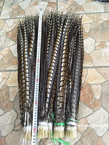 Miniatura 4 de Maslin 10pcs Original Natural Lady Amherst Pheasant Plumas 4-48inch10-120cm Decorativo Performance Accesorios Carnaval