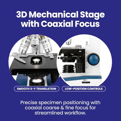AmScope B120C Series Student & Professional LED Binocular Compound Microscope - 40X-2500X Magnification - Features Siedentopf Head & 3D Mechanical Stage