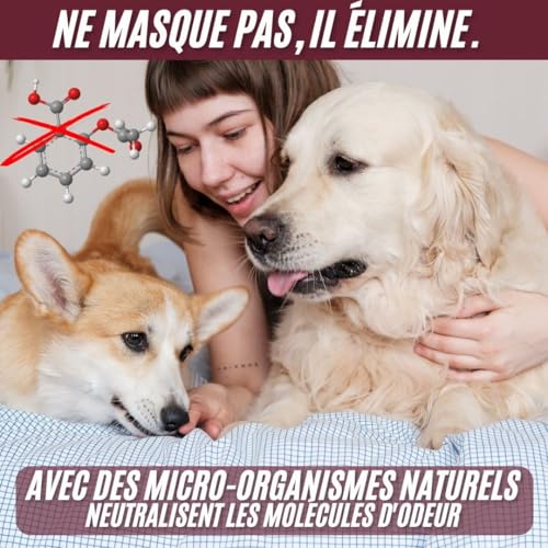 Éliminateur d’Odeurs | Formule Enzymatique et Microbiologique | Neutralise les Odeurs de Chiens et Chats | Élimine les Odeurs d’Urine et de Fèces | Désodorisant pour Maison, Tapis, Litière et Plus – vue 3