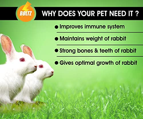 Image of Boltz Premium Adult Pellet Rabbit Food, Nutritionist Choice (Rabbit Food 1.2KG)