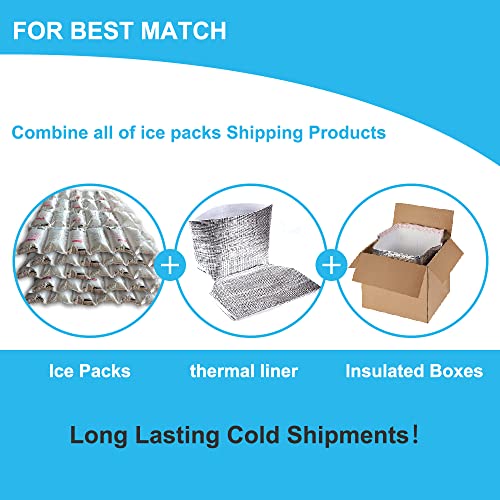Image of RAINBOW Dry Ice Packs for Shipping, 24 Sheets