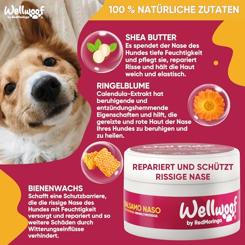 Wellwoof 100% Natürliches Nasenbalsam für Hunde - Repariert und Schützt Rissige Hundenase mit - Vegane & beim Ablecken Nicht Giftige Nasenpflege Hund - Made in Italy