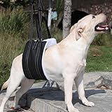 MHwan Tragehilfe Hund, Unterstütztes Gehen, Verbessertes Design der tragbaren Schnalle auf der Rückseite, Hochwertiges Wasserdichtes und Schmutzabweisendes PU-Leder und Flauschig Weiches Material (M)