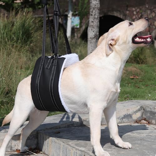 MHwan Tragehilfe Hund, Unterstütztes Gehen, Verbessertes Design der tragbaren Schnalle auf der Rückseite, Hochwertiges Wasserdichtes und Schmutzabweisendes PU-Leder und Flauschig Weiches Material (M)