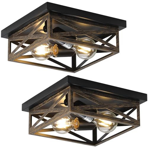 DIKAIDA 2Pack Rustic Flush Mount Ceiling Light Fixture, Modern Farmhouse Light Fixture, Kitchen Hallway Light Fixtures for Bedroom,Dining Room Entryway,Industrial Metal Cage Ceiling Light