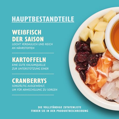 Lily's Kitchen Mit natürlichen Zutaten hergestellt Trockenfutter für ausgewachsene Katzen Weißfisch mit Lachs Getreidefreie Rezeptur 2kg