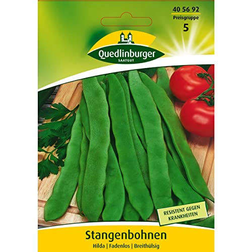 Preisvergleich Produktbild Stangenbohne, Hilda