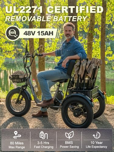 TINIOVER Creek Folding Electric Tricycle