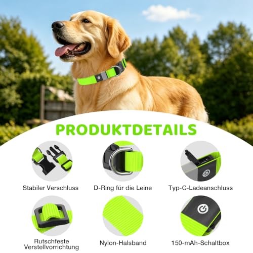 Leuchthalsband Hund, LED Hundehalsband Wiederaufladbar USB-C, Regendicht – Ansicht 3