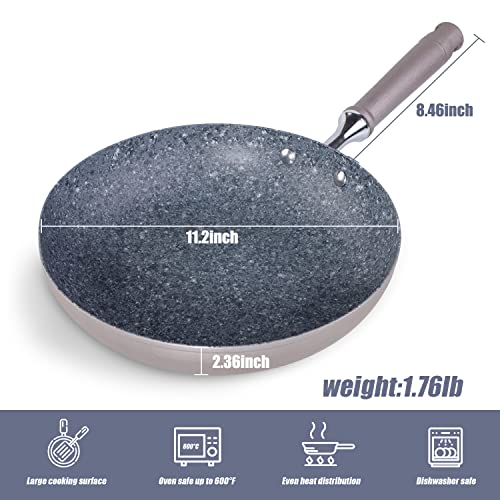 Letemps Frying Pan 11Inch, Non Stick Pan Omelette Pan Compatible Gas Stove Induction, Cooking Pan Dishwasher Safe #TOP5