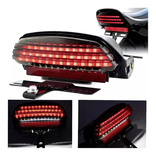 Feux Arrière Garde-boue Moto LED : Réparez l'Éclairage Faible Fat Bob - 6