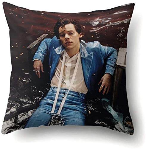Zhongyanxin Harry Styles Patterned Sofa Car Bed Pillowcase Bedroom Decoration Cushion Cover Home Decor(H10)