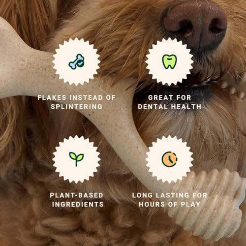 BetterBone Hard Density Veggie-Scented Dog Chew Toy, Large, Durable Plant-Based Wishbone for Aggressive Chewers Over 60 lbs by BetterBone - Used condition - Image 5