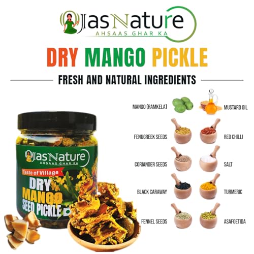 Image of Ojas Nature Homemade Dry Mango Pickle 400g Aam Ka Sukha Bharua Achar - Less mustard Oil & Preservative Free | Sun-Dried, Salty, Sour, Tangy, Spicy | Punjabi style | Fresh Mango Pickles & chutneys (400 G) | food grade Pet Jar