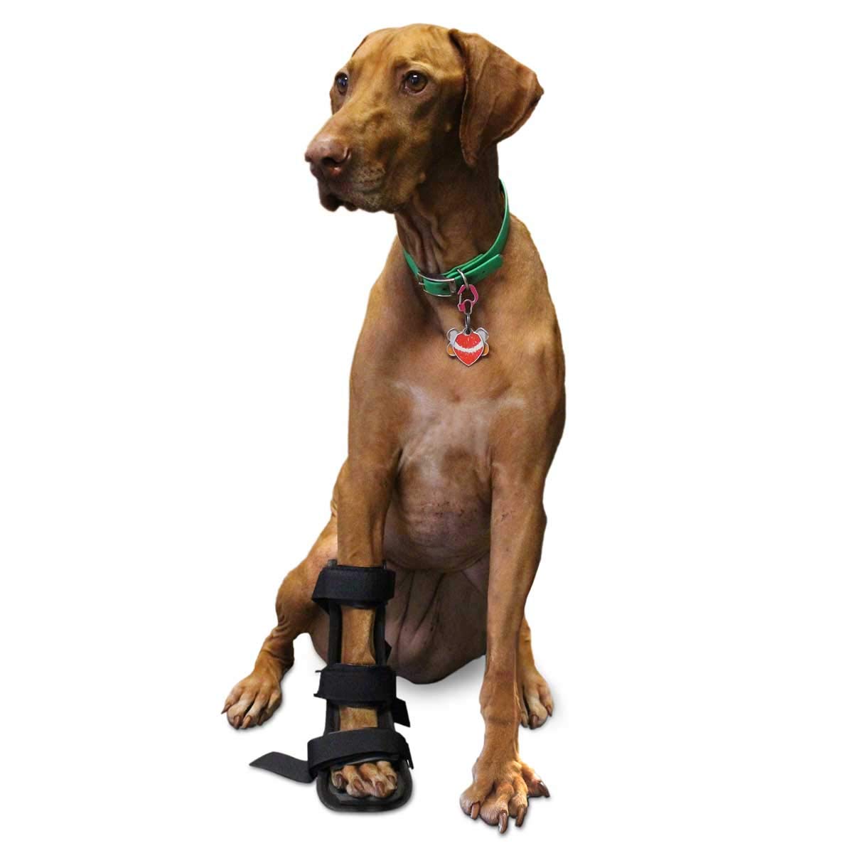 walkin pet splint for dogs