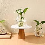 Zoom IMG-1 zerodeko 3pezzi terrario in vetro Zoom IMG-1 zerodeko 3pezzi terrario in vetro