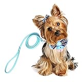 cute chokers and necklaces Suitable for most small, medium, large pets dogs and cats. Please check your pet's neck size before your order, when measure the width of the pet's neck, the most appropriate is that recommended to reserve the width of 1-2 fingers.