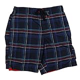 Speedo Men's Airbrush Stripe E-Board 21 Inch