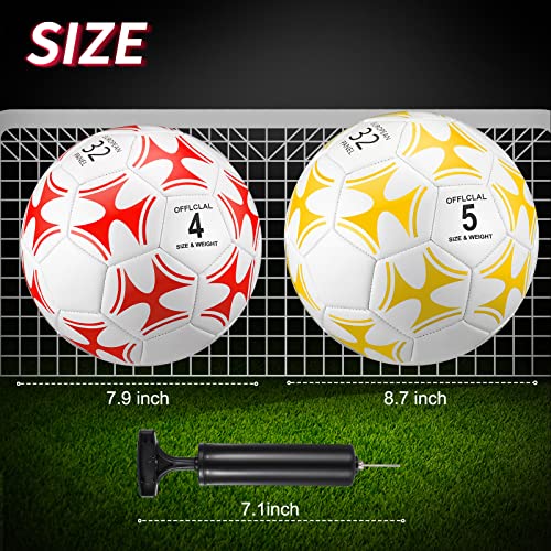Deekin 2 Pcs Soccer Balls Size 4 Size 5 Soccer Ball Size 4 Size 5 Kids Soccer Ball Toddler Soccer Ball Youth Soccer Ball With Pump For Youth Official Soccer Ball For Game Training (Size 5) #TOP1