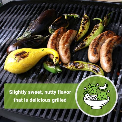 Sow Right Seeds - Golden Summer Crookneck Squash Seeds for Planting - Non-GMO Heirloom Packet with Instructions to Grow an Outdoor Home Vegetable Garden - Prolific Yellow Summer Squash, Rare Shape (1) by Sow Right Seeds - Image 6