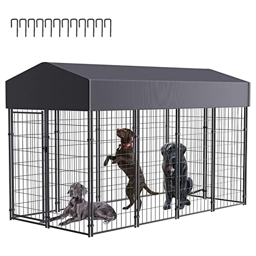 BingoPaw Chenil Chien Extérieur XXL: Cage Chien Extérieur Jardin Enclos Grande Taille en Métal Parc Chiens avec Toit en Tissu Oxford 249 x 165 x 120 cm