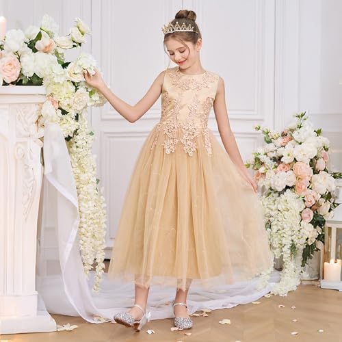 Girls Elegant Lace Flower Tulle Ball Gown Dress Sleeveless Princess Party Wedding Birthday Formal Dresses for Kids3