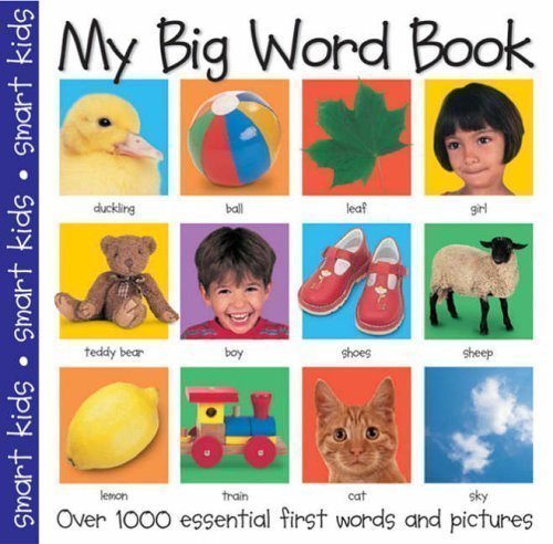 My Big Word Book (Big Books) by Priddy, Bicknell published by Priddy & Bicknell (2002)