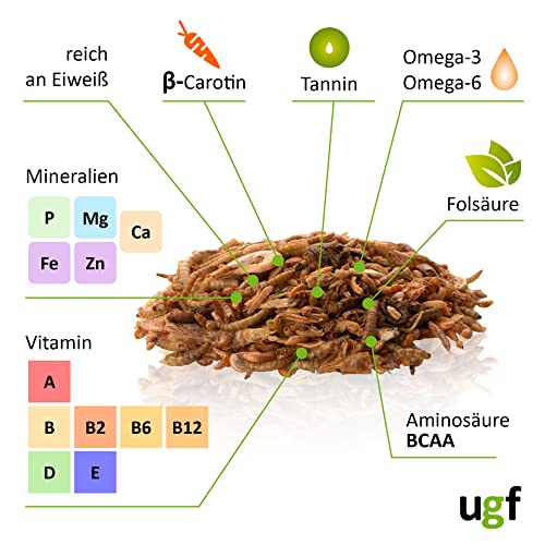 UGF - Universal Schildkröten Futter Mix - 500g im 3 Liter Eimer, Ausgewogenes Schildkrötenfutter, Gammarus, Seidenraupen, Mehlwürmer, Garnelen und getrockneter Fisch, Wasserschildkröten Futter