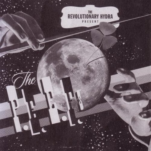 Pillows Get To Sleep All Day