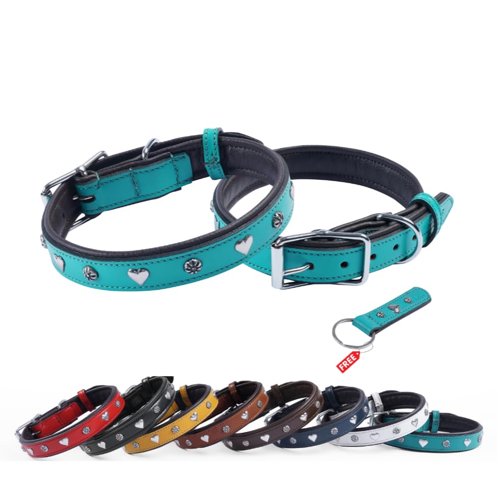 REDLUXE Genuine Leather Dog Collar with Heart Studs, Soft Padded Adjustable Pet Collar for Small, Medium & Large Dogs, Heavy Duty Metal Buckle (TURQUISE, L)
