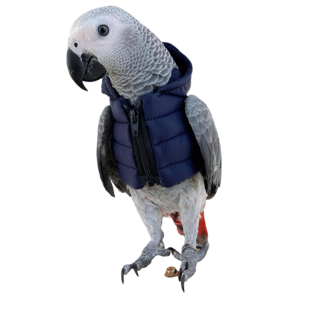 Pet Bird Toys, Flying Vest, Small Parrot Winter Clothing and Warm Supplies (4XL)