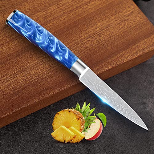 Top 10 Knife For Dicing Tomatoes of 2022 Katynel