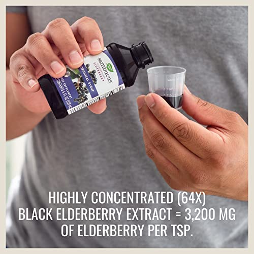 Nature's Way Sambucus Original Elderberry Syrup #TOP10