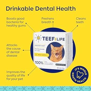   for-Life-Protektin30-Plant-Derived-Dental-Water-Additive-for-Cats-Daily-Dental-Care-Clinically-Proven-Formula-Naturally-Fights-Plaque-and-Tartar-Dental-Kit-with-90-Servings