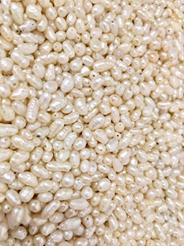 Drilled Freshwater Rice Pearls Tiny 2.5mm (Qty 250) Real Baroque Pearls DIY Jewelry Loose Pearl Beads Palm Beach Pearls