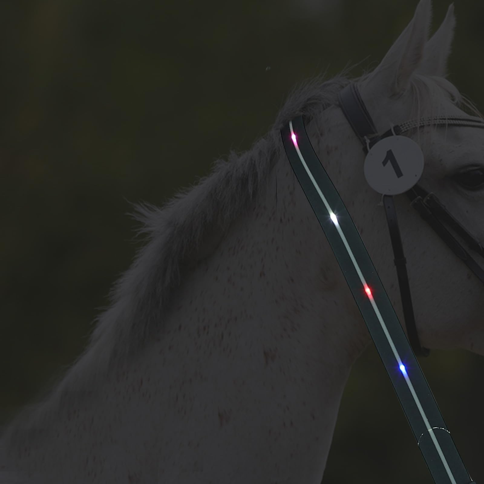 Healeved Leuchtende Pferdebrustleine mit LED Beleuchtung, Schwarz