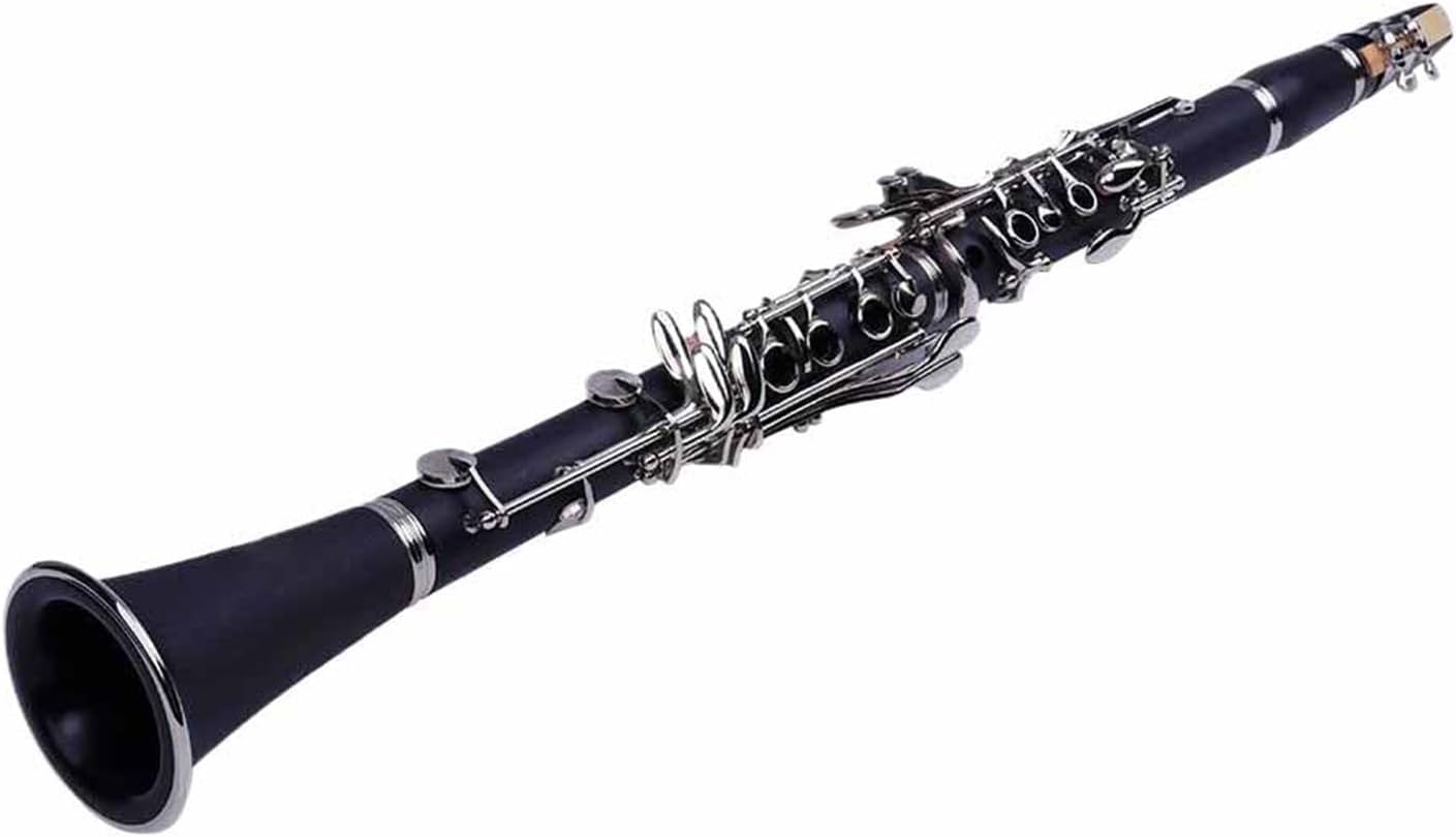 Professional Musical Instrument C Tone Clarinet