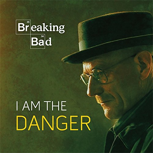 Breaking Bad: I Am the Danger Breaking Bad: I Am the Danger
