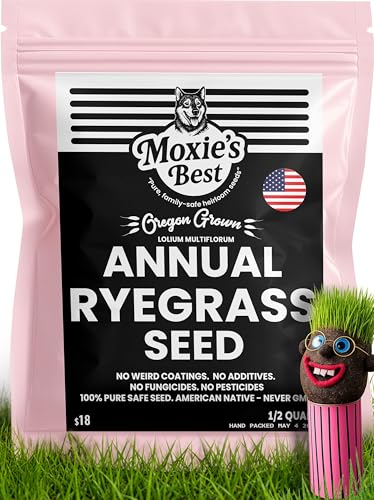 Annual Ryegrass Seed - 1/2 Quart (5.5 oz) Pure Native Sprouts Grass in 3-6 Days Farm Fresh Seeds Non-GMO Always Zero additives Grown and Packed in the USA