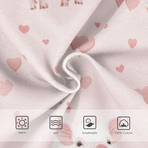 White Pigs Boys' Underwear Cotton Pink Hearts Boys Briefs Soft Toddler Underwear 2T3