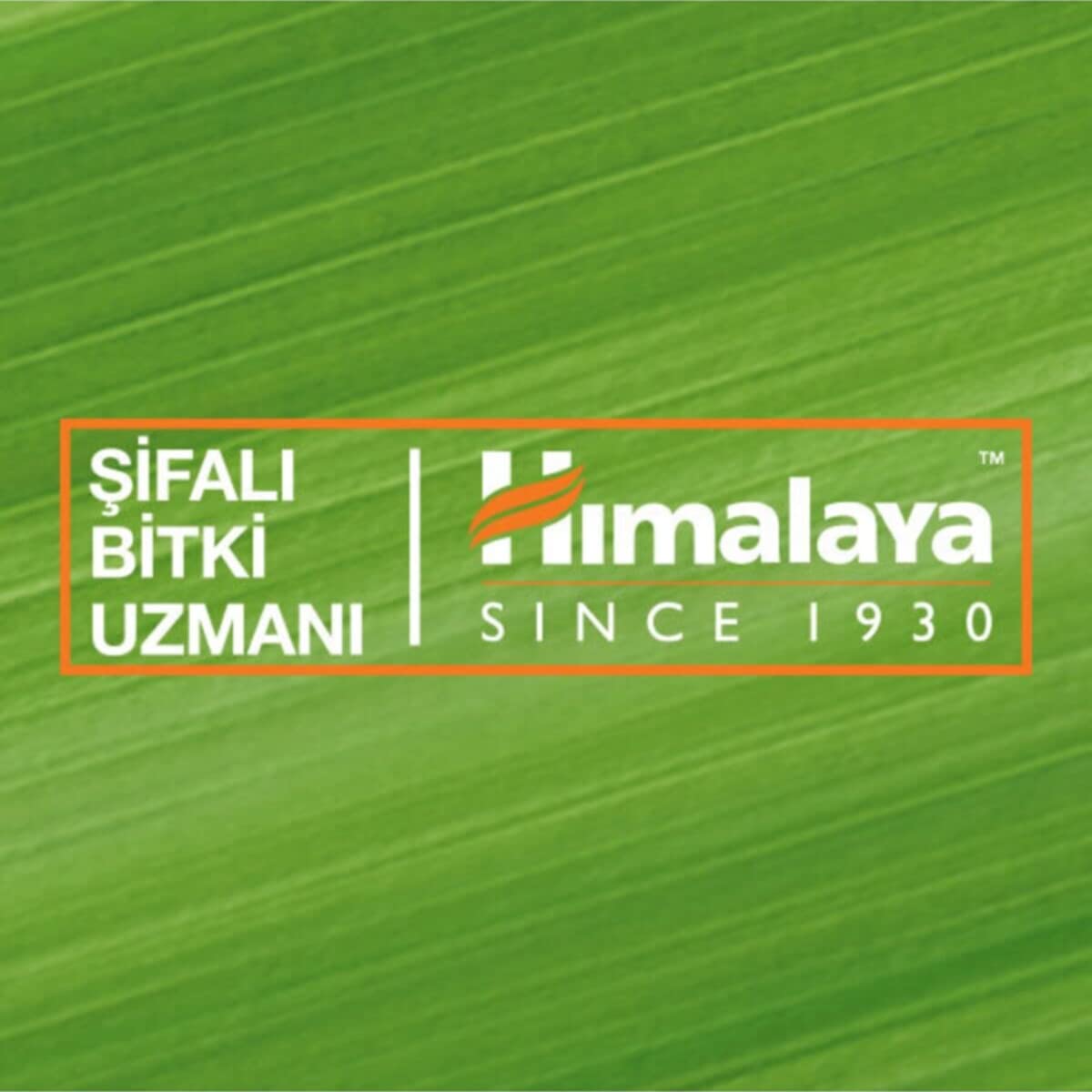 Himalaya Since 1930 Siyah Nokta Karşıtı Yüz Temizleyici Scrub, Peeling Etkili, Elma, Ceviz, Tüm Ciltler, 75 ml