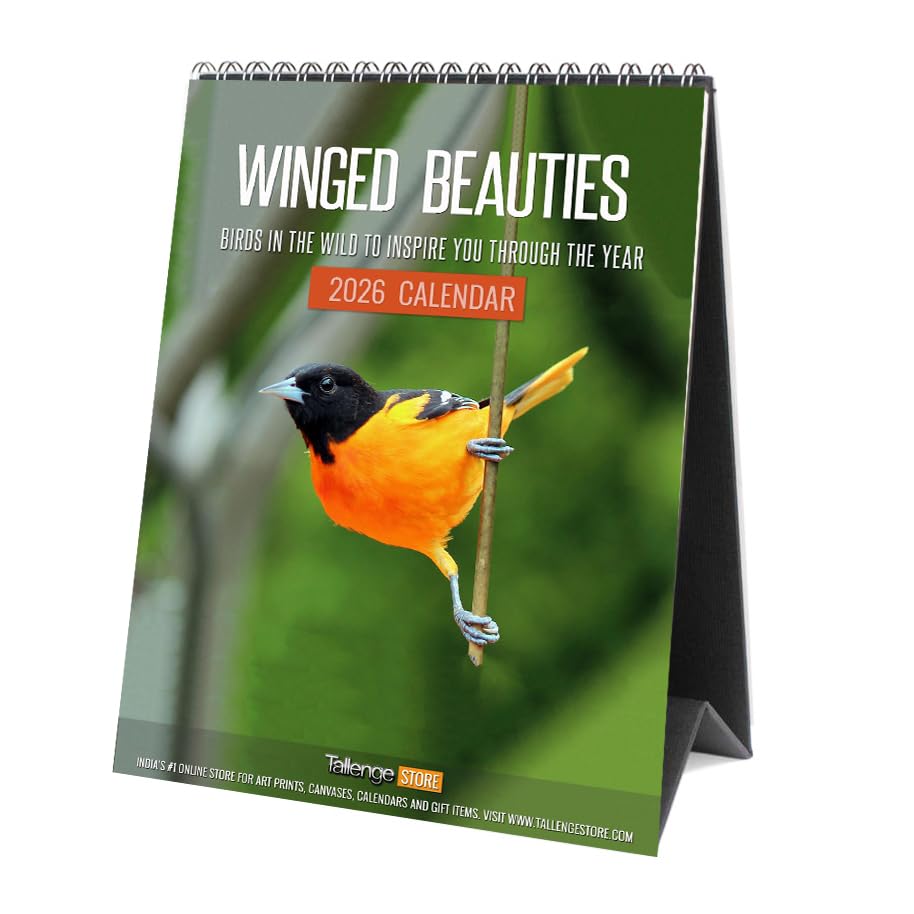 Image of Tallenge - Winged Beauties - 2026 Desk Calendar - 6 x 9 Inches for Home & Office (Paper, Desk Calendar)