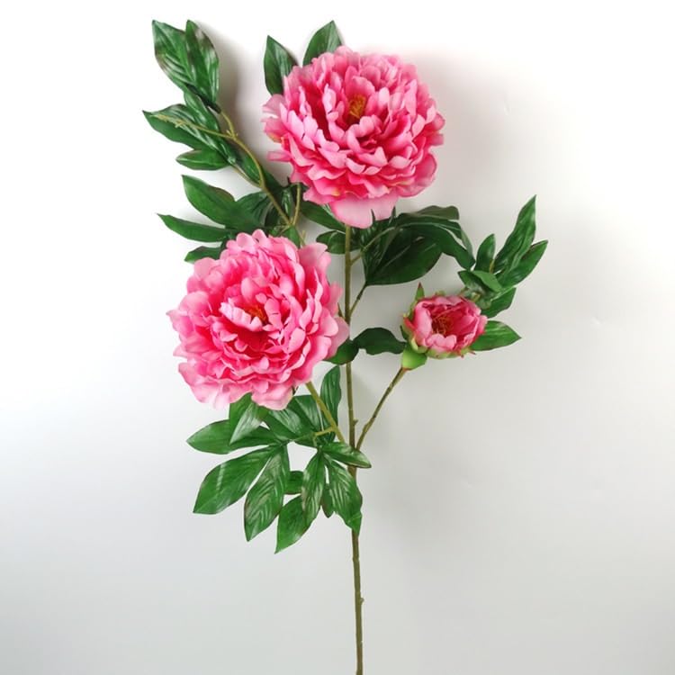 Amazon｜模擬牡丹の花家のインテリア装飾シルクフラワー造花白牡丹 3