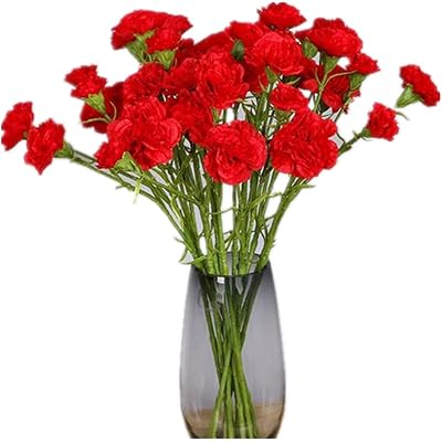 Corkwaw 40 Heads Artificial Carnations,Silk Hydrangea Bouquet Decoration Plastic Plant Suitable for Photo Props Family Party Home Decoration Bridal Wedding Bouquet Decoration (Red)
